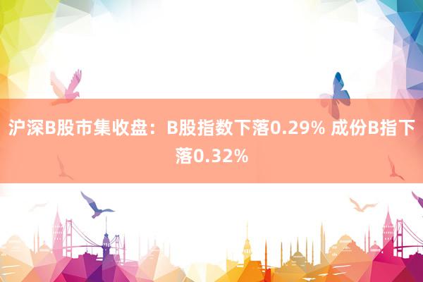 沪深B股市集收盘：B股指数下落0.29% 成份B指下落0.32%