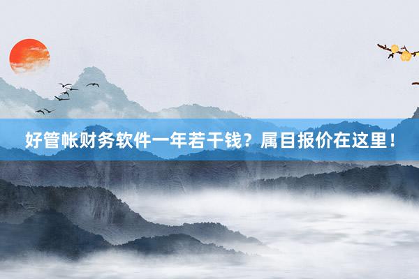 好管帐财务软件一年若干钱？属目报价在这里！