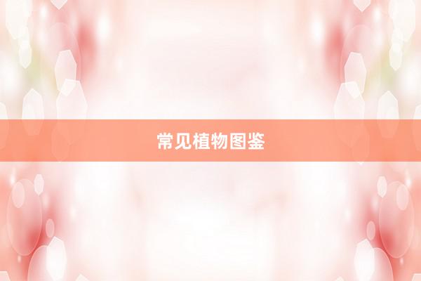 常见植物图鉴