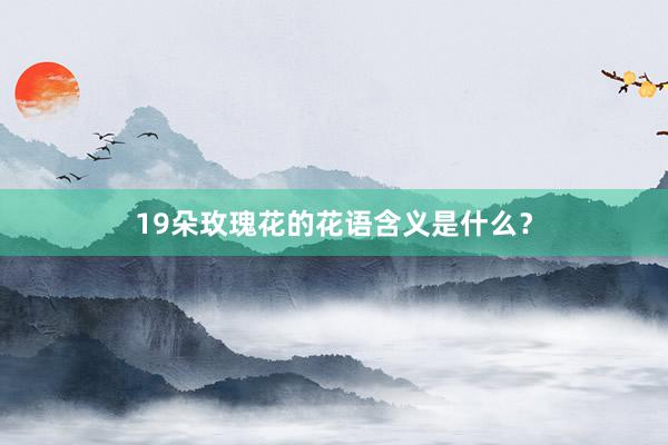 19朵玫瑰花的花语含义是什么？